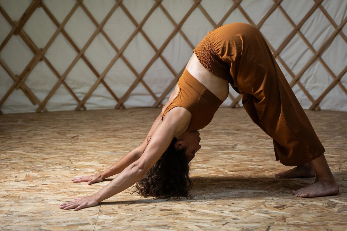 HOLI | Brassière Femme Coton Bio éthique